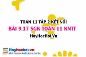 Bài 9.17 SGK Toán 11 Tập 2 Kết nối tri thức: Tính gia tốc của hạt chuyển động